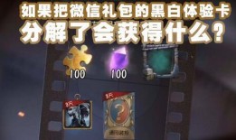 第五人格最新解包爆料新角色,神秘面纱下的惊悚之谜