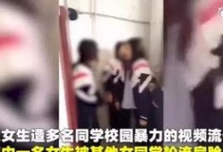 河南女孩爆料视频曝光事件,揭开校园霸凌黑幕