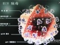 艾滋病毒最新爆料,突破性发现与防控策略